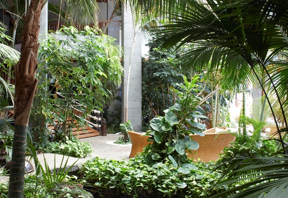 Princesa Yaiza Suite Hotel Resort 5 Luxury - Tropical Garden.jpg
